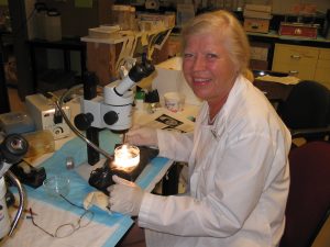 Dr. Virginia M. Diewert at the refuge.