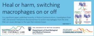 Heal or harm, switching macrophages on or off