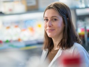 How studying immune cells can improve fetal health